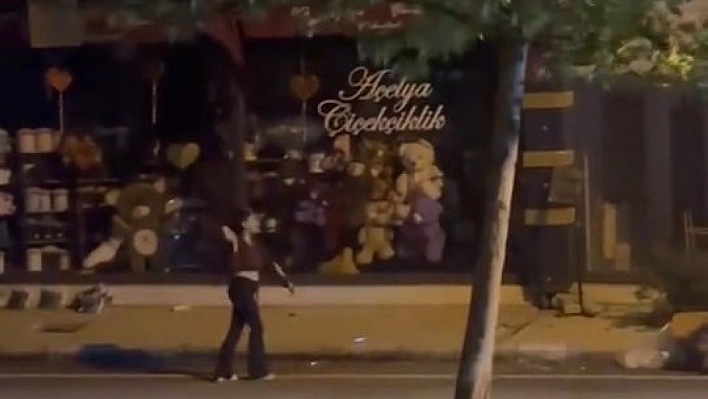 Kadın, dükkana taşla saldırdı