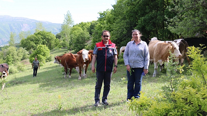 Kadın muhtar, hayvancılıkta da örnek oluyor