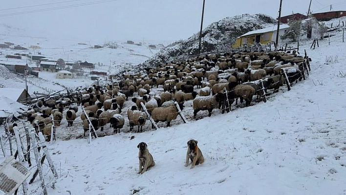 Kadırga Yaylası'na Kar Düştü, Yaylacılar Dönüşe Geçti!