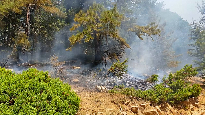 Kahramanmaraş'ta orman yangını