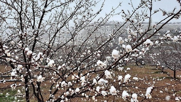 Üretici endişeli