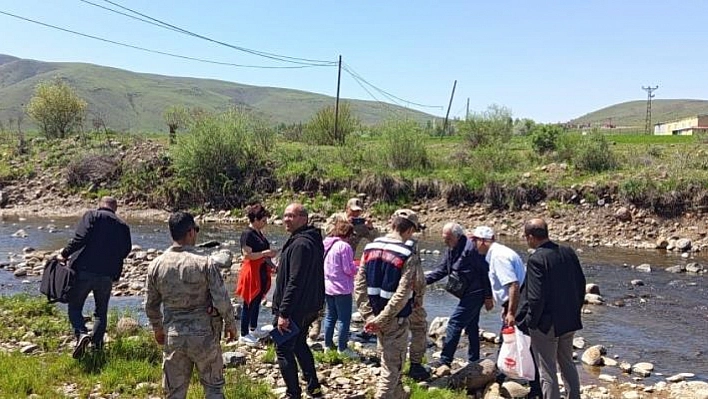 Karakoçan'da balıkların ölüm nedeni araştırılıyor