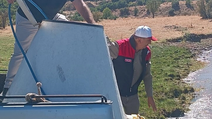 Karakoçan'da yavru balıklar suyla buluştu