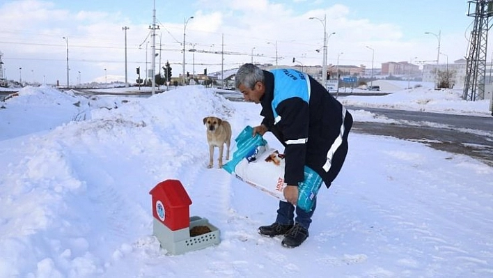 Can dostlar unutulmadı