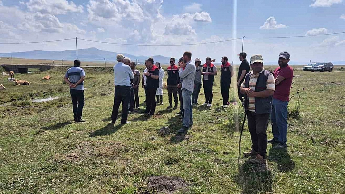 Kars'ta büyükbaş hayvanlar aşılanıyor