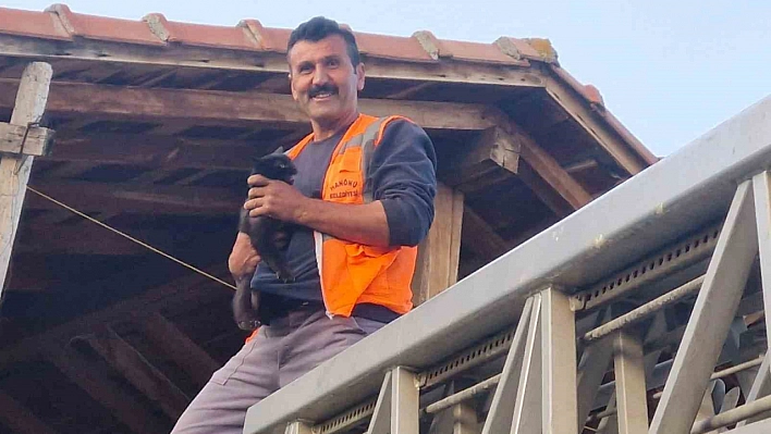 Kastamonu'da evin çatısında mahsur kalan kediyi itfaiye ekipleri kurtardı