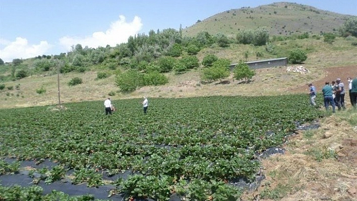 Çiftçilere önemli uyarı