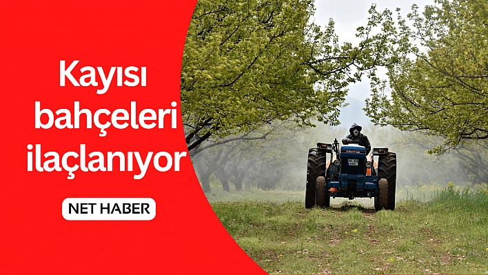 Kayısı bahçeleri ilaçlanıyor