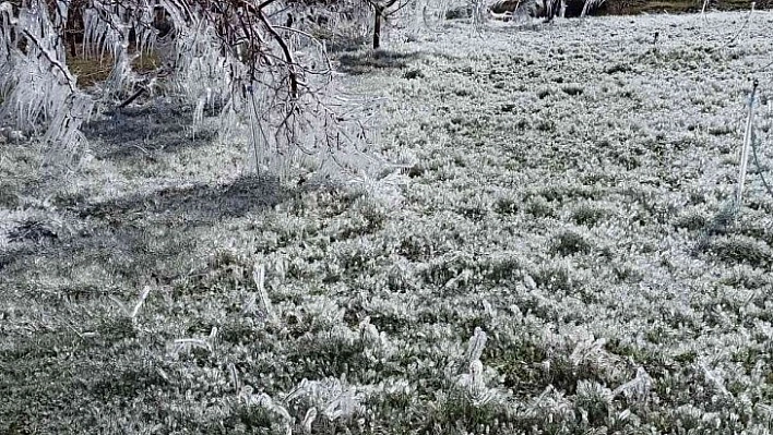 İşte afetin resmi