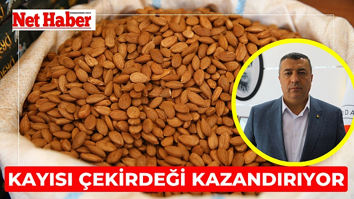 Kayısı çekirdeği kazandırıyor