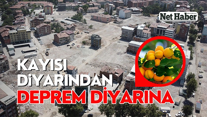 Kayısı diyarından deprem diyarına