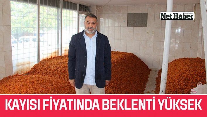 Kayısı fiyatında beklenti yüksek