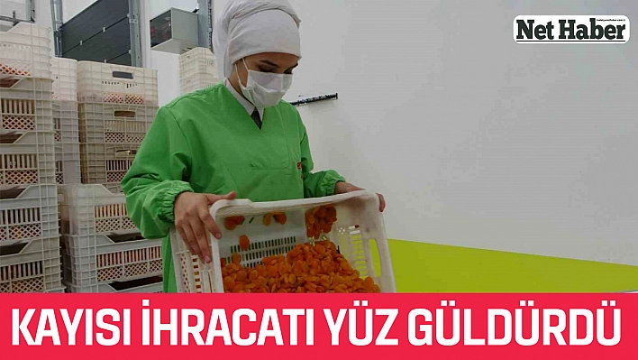 Kayısı ihracatı yüz güldürdü