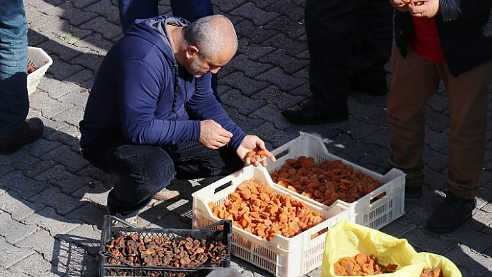 Kayısı ihracatında gelir düştü