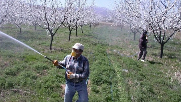 Kayısı, Ramazan'da da emek istiyor..!