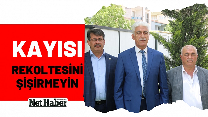 Kayısı rekoltesini şişirmeyin