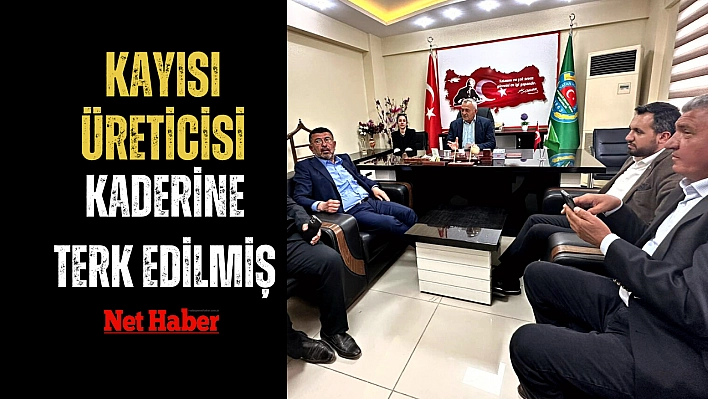 Kayısı üreticisi kaderine terk edilmiş