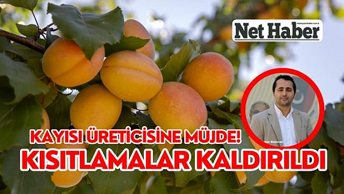 Kayısı üreticisine müjde! Kısıtlamalar kaldırıldı