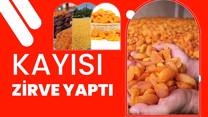 Kayısı zirve yaptı