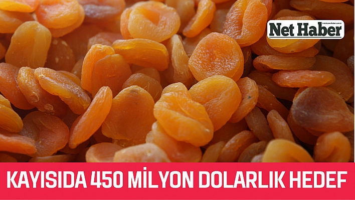 Kayısıda 450 milyon dolarlık hedef