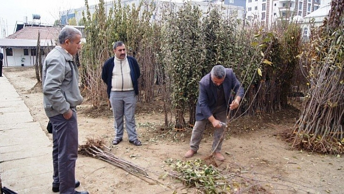 Fiyatlar yükseldi, satışlar arttı