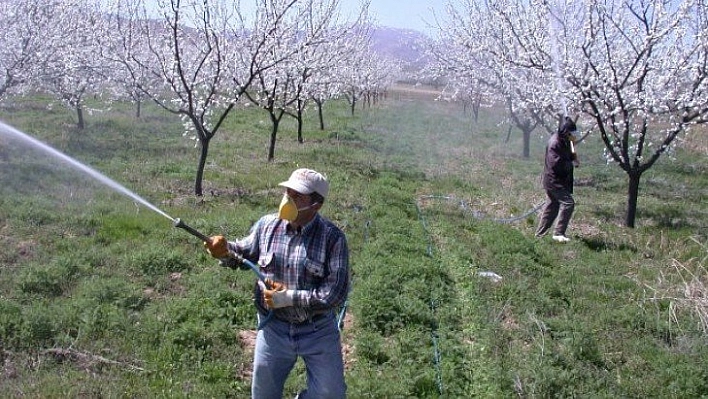 Kayısıda ilkbahar uyarısı