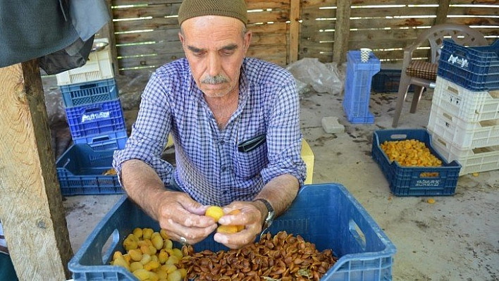 Şimdi patik vakti