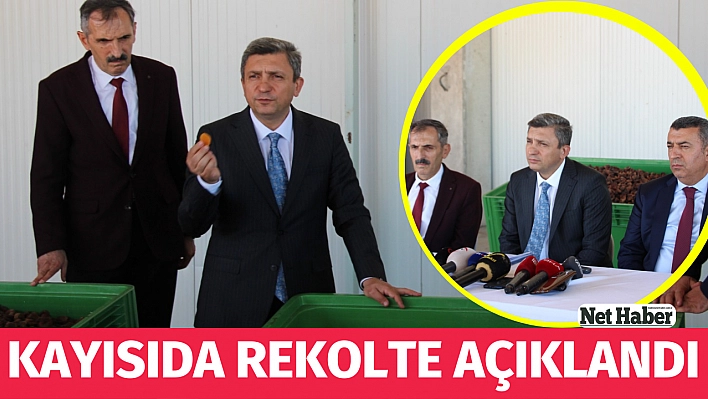 Kayısıda rekolte açıklandı