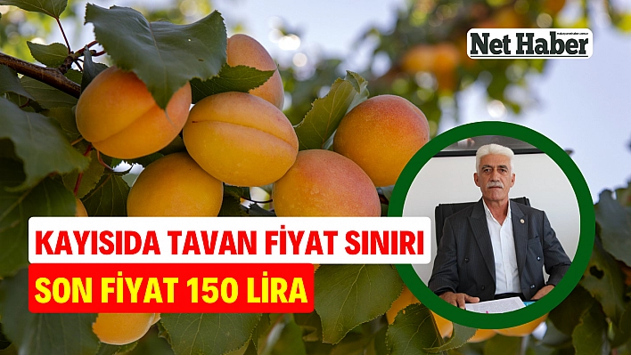 Kayısıda tavan fiyat sınırı son fiyat 150 lira