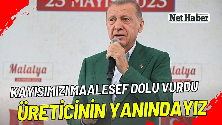 Erdoğan, kayısımızı maalesef dolu vurdu