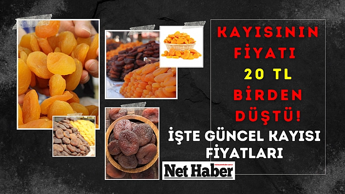 Kayısının fiyatı 20 TL birden düştü! İşte güncel kayısı fiyatları