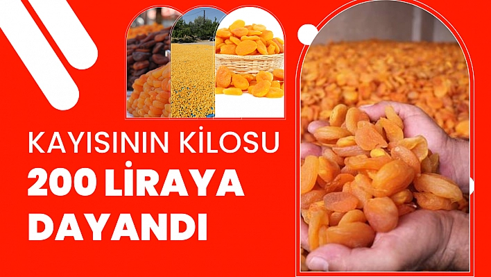 Kayısının kilosu 200 liraya dayandı