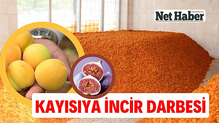 Kayısıya incir darbesi