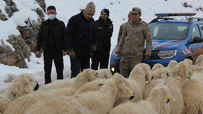 Türkoğlu yol açma çalışmalarını denetledi