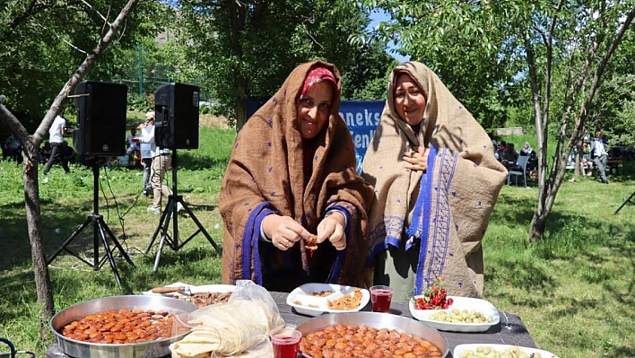 Kaysefe festivali renkli görüntülere sahne oldu