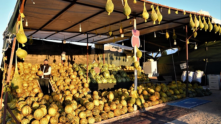 Kendine Has Aromasıyla Narmikan Kavunu Malatya Tezgahlarında