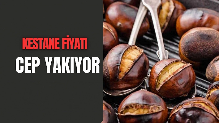 Kestane fiyatı cep yakıyor