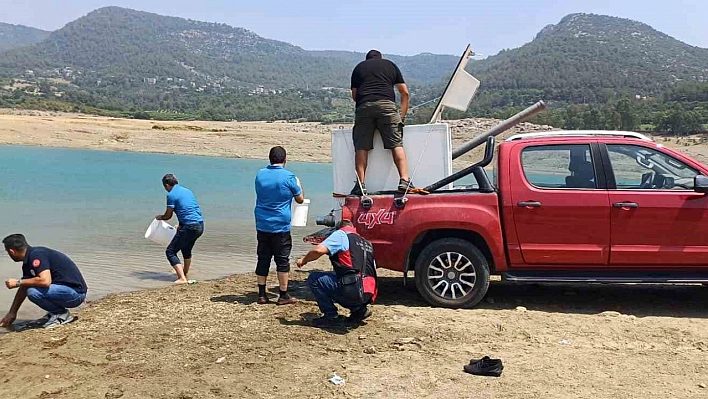 Kilgen Barajı'na 321 bin yavru sazan, baraja bırakıldı