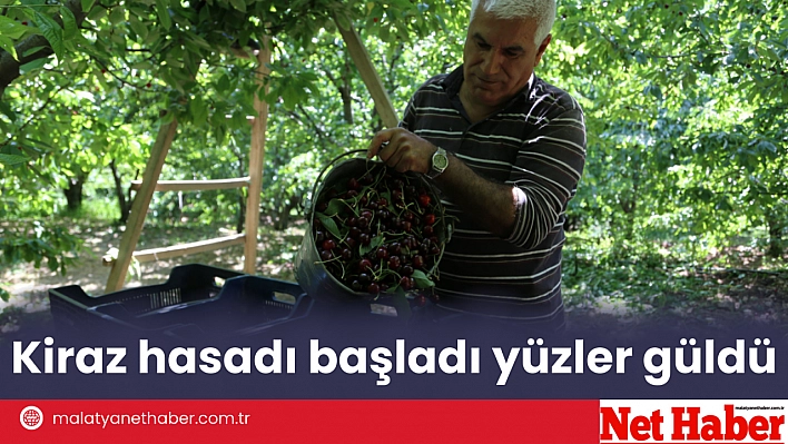 Kiraz hasadı başladı yüzler güldü