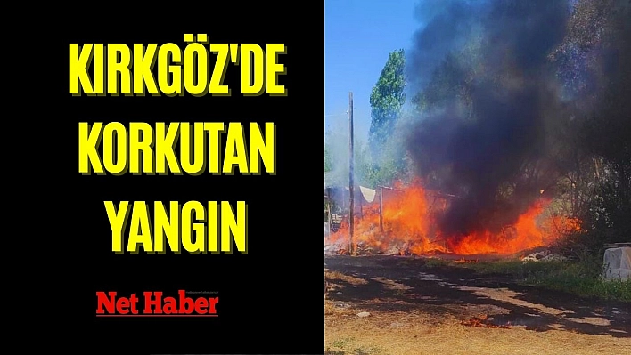 Kırkgöz'de korkutan yangın