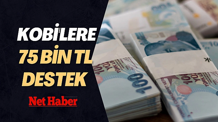 KOBİ'lere 75 bin TL destek