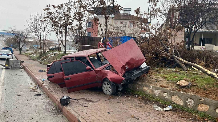 Ağacı yerinden söktü