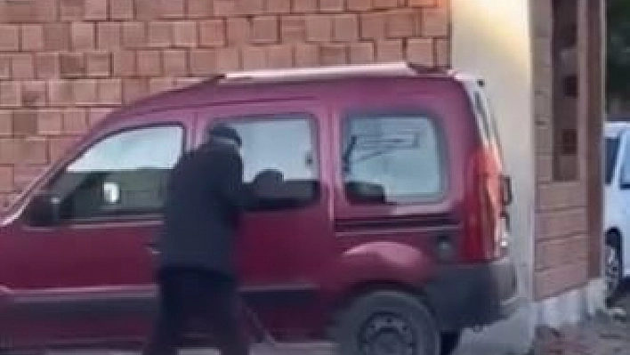 Köpeğe Şiddet Uygulayan Şahsa Rekor Ceza