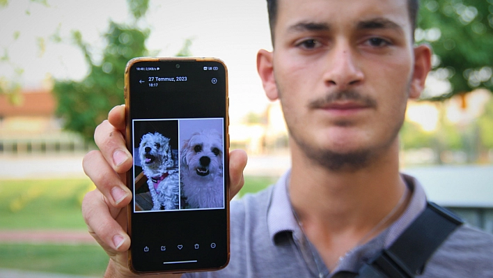 Köpeğini bulmak için sokak sokak geziyor