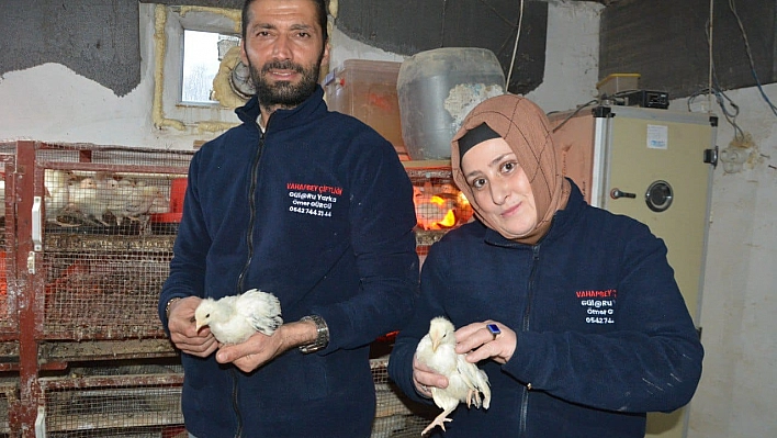 Köy hayatını, İstanbul'a tercih ettiler! Şimdi onlarca ülkeye ihracat yapıyorlar