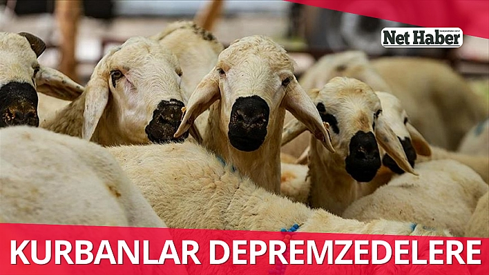 Kurbanlar depremzedelere