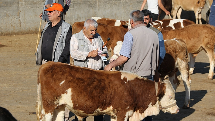 Kurbanlık alacakları uyardı