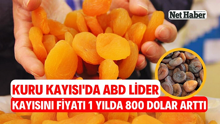 Kuru Kayısı'da ABD lider