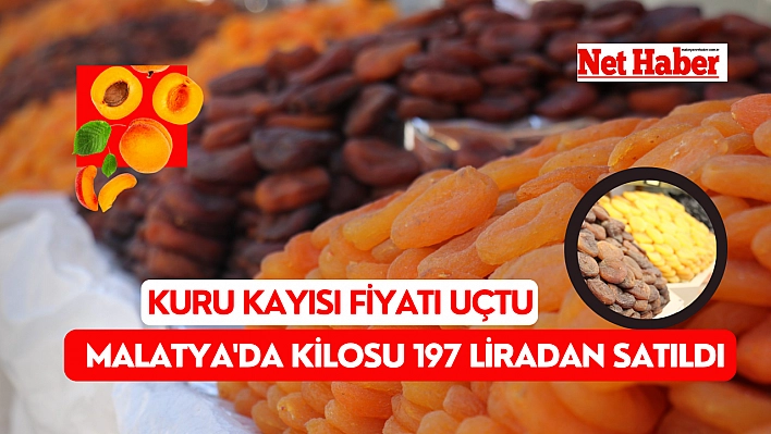 Kuru kayısı fiyatı uçtu: Malatya'da kilosu 197 liradan satıldı