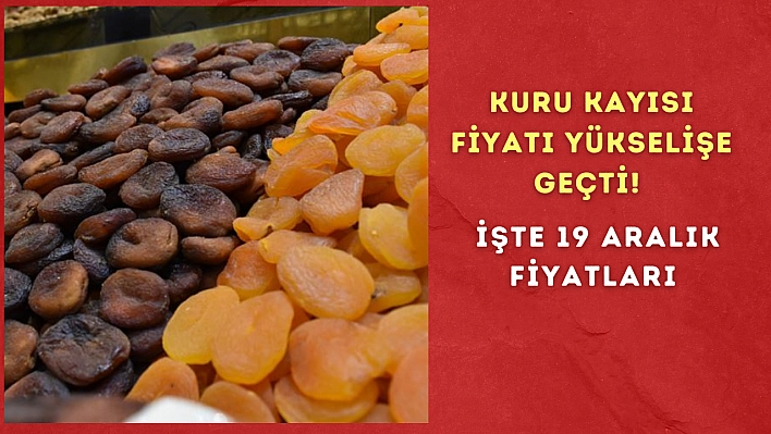 Kuru kayısı fiyatı yükselişe geçti! İşte 19 Aralık fiyatları